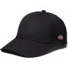Dickies 874 Twill Cap | Hats